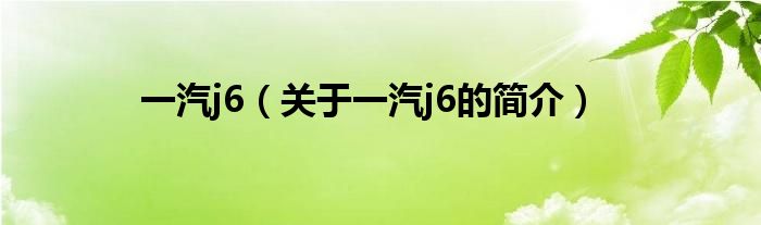 一汽j6（关于一汽j6的简介）