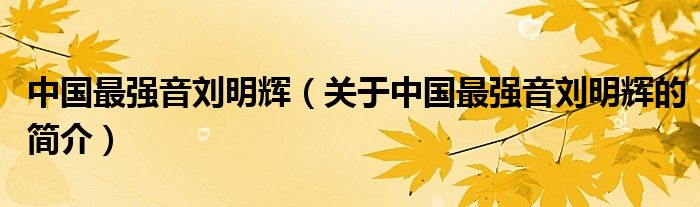 中国最强音刘明辉（关于中国最强音刘明辉的简介）