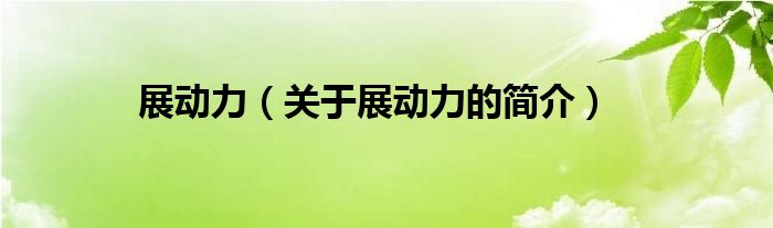 展动力（关于展动力的简介）