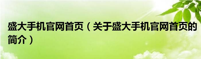 盛大手机官网首页（关于盛大手机官网首页的简介）