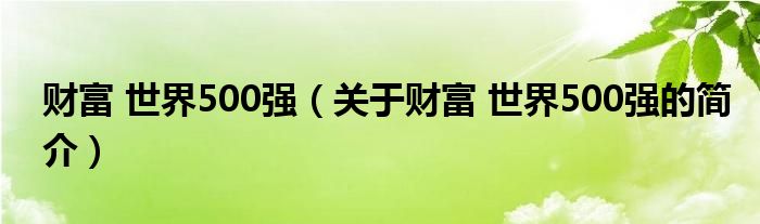 财富 世界500强（关于财富 世界500强的简介）