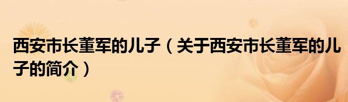 西安市长董军的儿子（关于西安市长董军的儿子的简介）