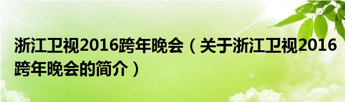 浙江卫视2016跨年晚会（关于浙江卫视2016跨年晚会的简介）