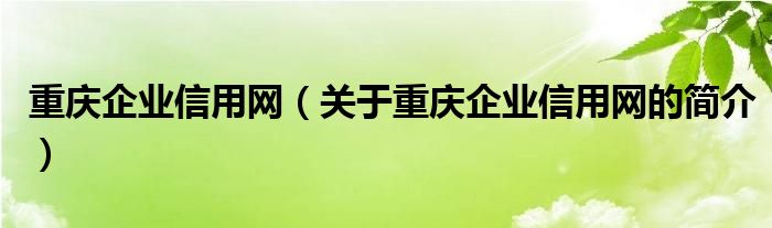 重庆企业信用网（关于重庆企业信用网的简介）
