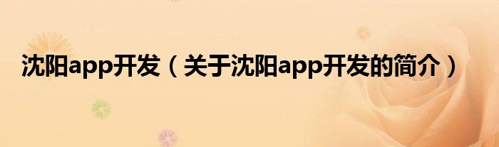 沈阳app开发（关于沈阳app开发的简介）