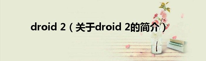 droid 2（关于droid 2的简介）