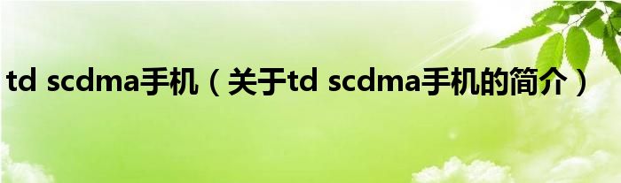 td scdma手机（关于td scdma手机的简介）