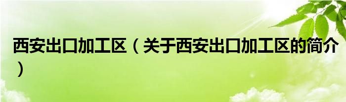 西安出口加工区（关于西安出口加工区的简介）