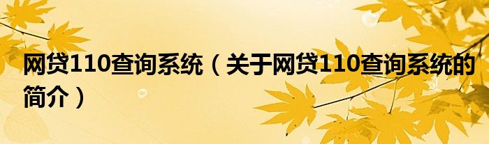 网贷110查询系统（关于网贷110查询系统的简介）