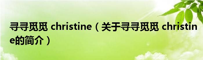 寻寻觅觅 christine（关于寻寻觅觅 christine的简介）