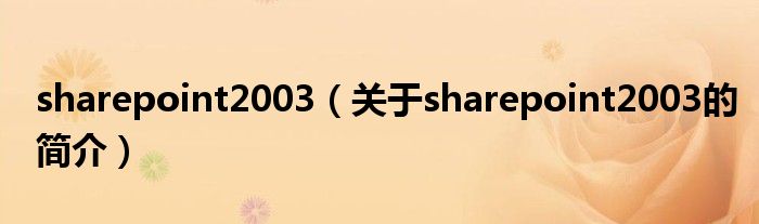 sharepoint2003（关于sharepoint2003的简介）