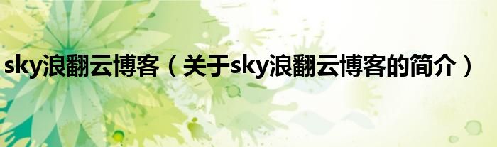 sky浪翻云博客（关于sky浪翻云博客的简介）