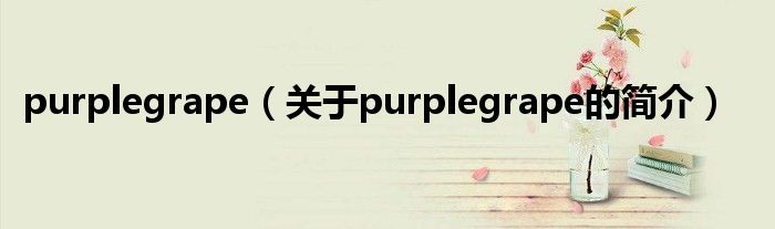 purplegrape（关于purplegrape的简介）