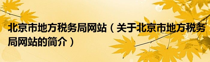 北京市地方税务局网站（关于北京市地方税务局网站的简介）