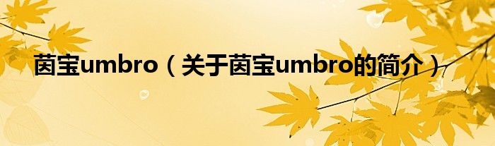 茵宝umbro（关于茵宝umbro的简介）