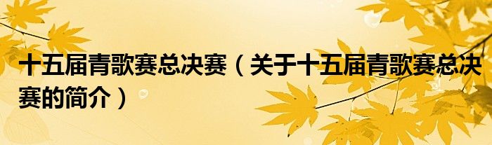 十五届青歌赛总决赛（关于十五届青歌赛总决赛的简介）