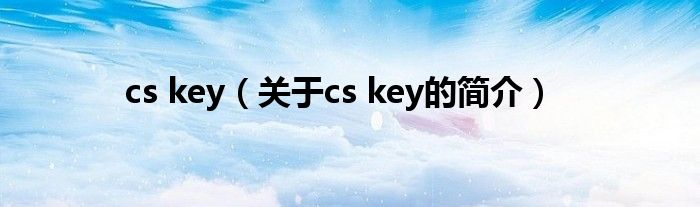 cs key（关于cs key的简介）
