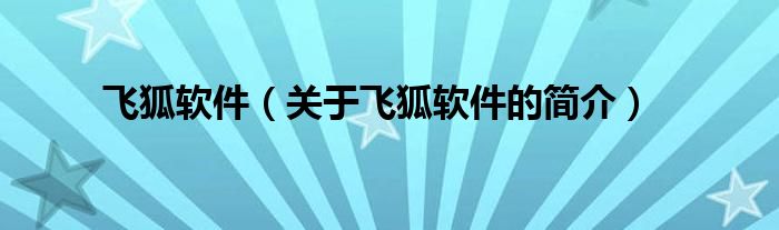 飞狐软件（关于飞狐软件的简介）