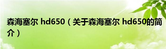 森海塞尔 hd650（关于森海塞尔 hd650的简介）