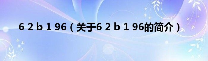 6 2 b 1 96（关于6 2 b 1 96的简介）