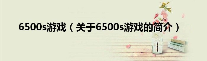 6500s游戏（关于6500s游戏的简介）