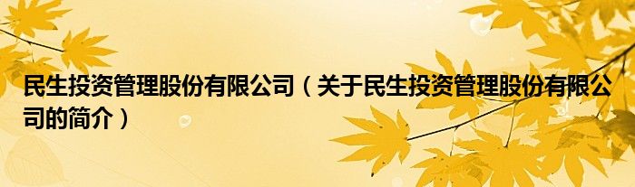 民生投资管理股份有限公司（关于民生投资管理股份有限公司的简介）