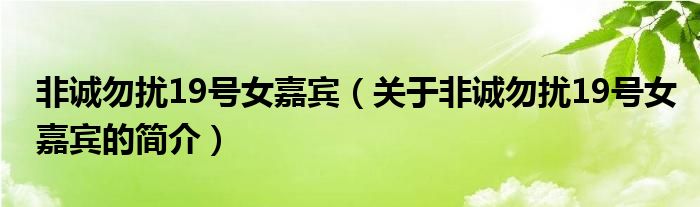 非诚勿扰19号女嘉宾（关于非诚勿扰19号女嘉宾的简介）