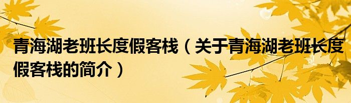 青海湖老班长度假客栈（关于青海湖老班长度假客栈的简介）