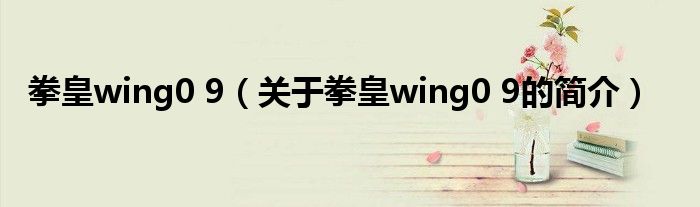 拳皇wing0 9（关于拳皇wing0 9的简介）