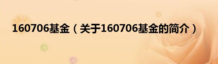 160706基金（关于160706基金的简介）