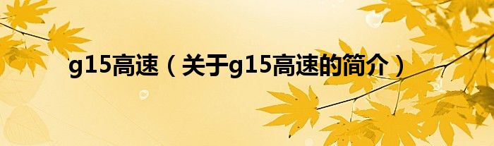 g15高速（关于g15高速的简介）