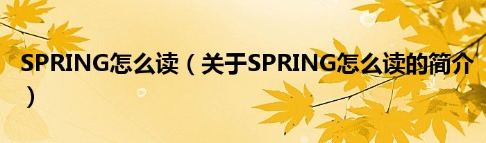 SPRING怎么读（关于SPRING怎么读的简介）