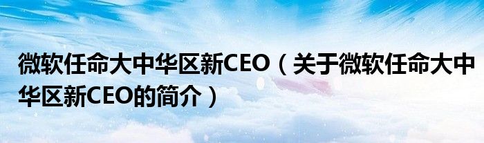 微软任命大中华区新CEO（关于微软任命大中华区新CEO的简介）