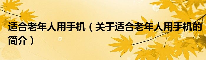 适合老年人用手机（关于适合老年人用手机的简介）