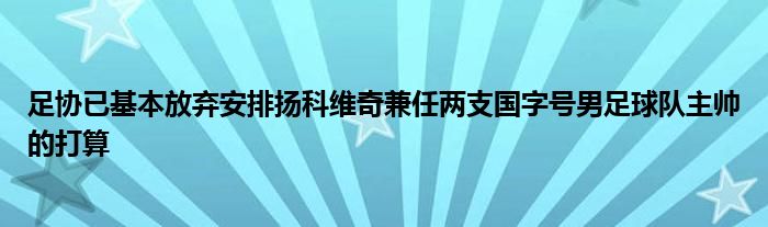 足协已基本放弃安排扬科维奇兼任两支国字号男足球队主帅的打算