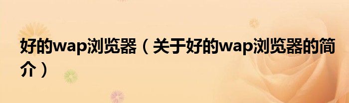 好的wap浏览器（关于好的wap浏览器的简介）