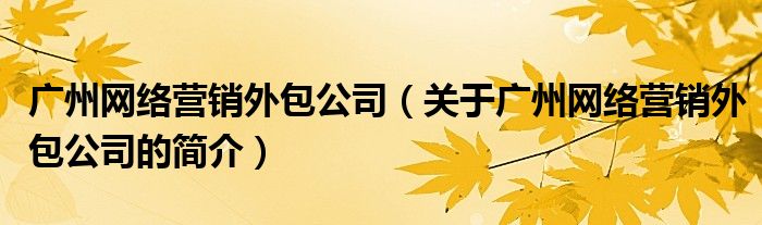 广州网络营销外包公司（关于广州网络营销外包公司的简介）