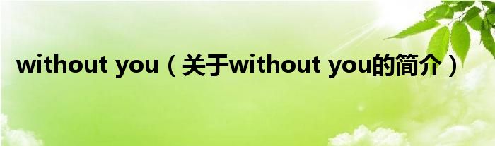 without you（关于without you的简介）