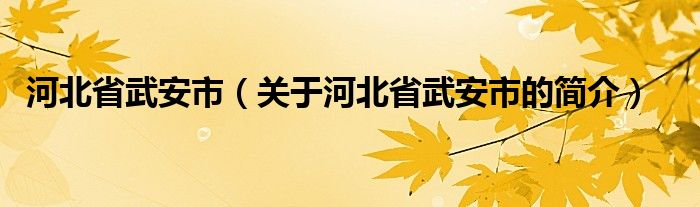 河北省武安市（关于河北省武安市的简介）