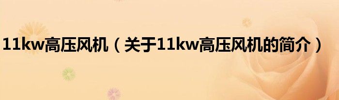 11kw高压风机（关于11kw高压风机的简介）