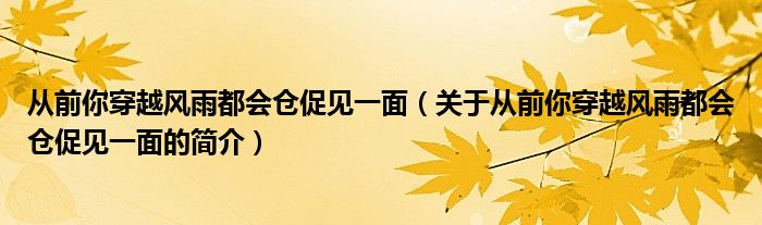 从前你穿越风雨都会仓促见一面（关于从前你穿越风雨都会仓促见一面的简介）