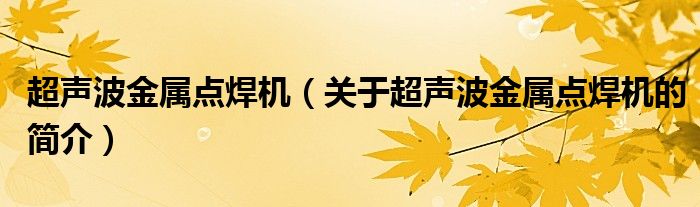 超声波金属点焊机（关于超声波金属点焊机的简介）