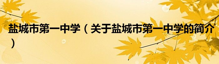 盐城市第一中学（关于盐城市第一中学的简介）