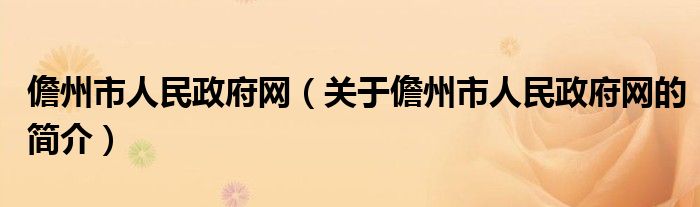 儋州市人民政府网（关于儋州市人民政府网的简介）