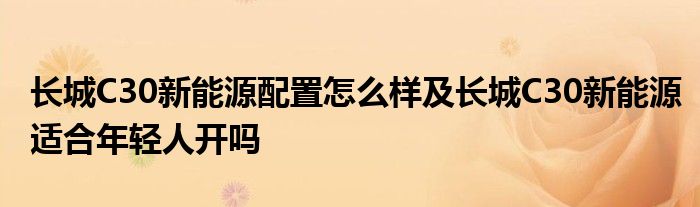 长城C30新能源配置怎么样及长城C30新能源适合年轻人开吗