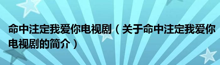 命中注定我爱你电视剧（关于命中注定我爱你电视剧的简介）