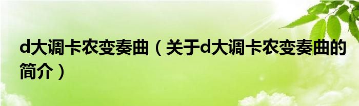 d大调卡农变奏曲（关于d大调卡农变奏曲的简介）