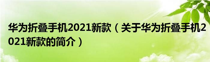 华为折叠手机2021新款（关于华为折叠手机2021新款的简介）