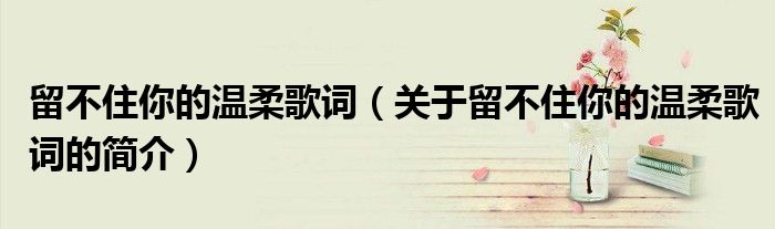留不住你的温柔歌词（关于留不住你的温柔歌词的简介）