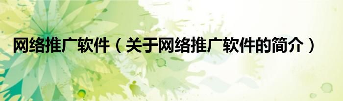 网络推广软件（关于网络推广软件的简介）